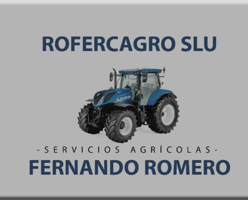 Fernando Romero Gómez
