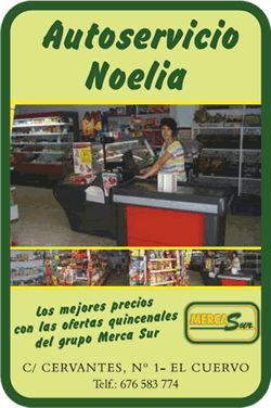 LogoAutoservicioNoelia