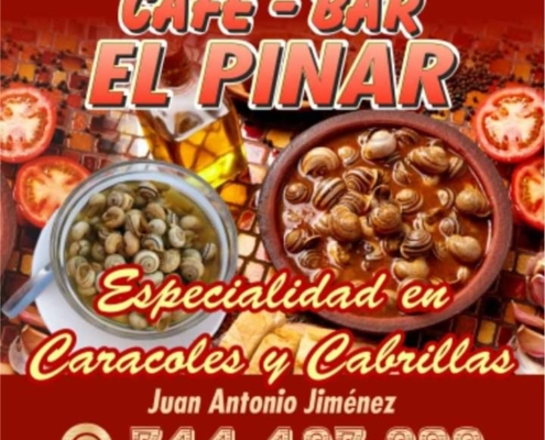 Logo Bar El Pinar