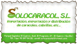 LogoSoloCaracol