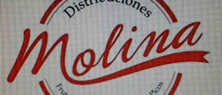LogoDistribucionesMolina