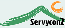 LogoServycon21