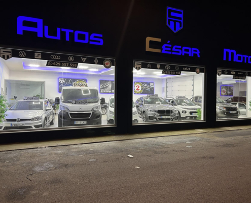 Logo Cesar Motor